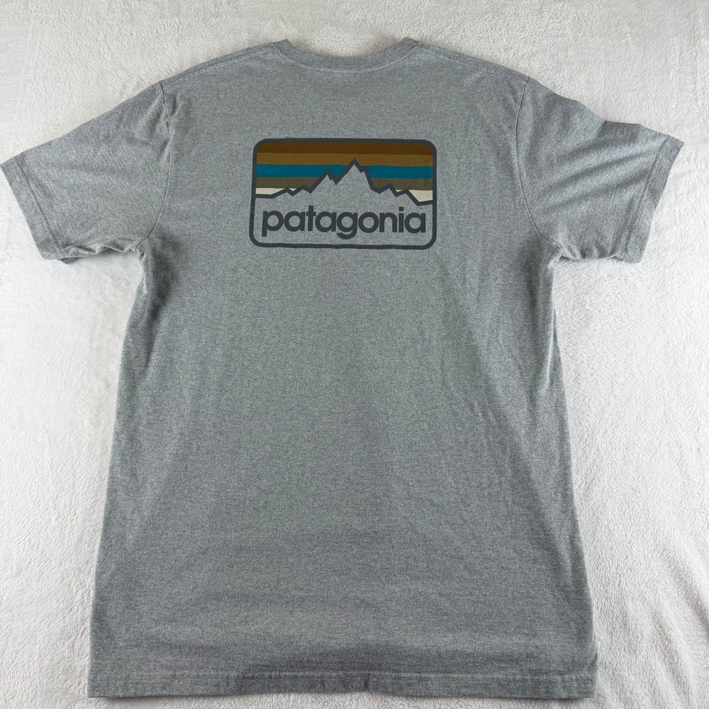 Patagonia T-Shirt Graphic Logo Gray Mens Large Short Sleeve Fitz Mountain Tee